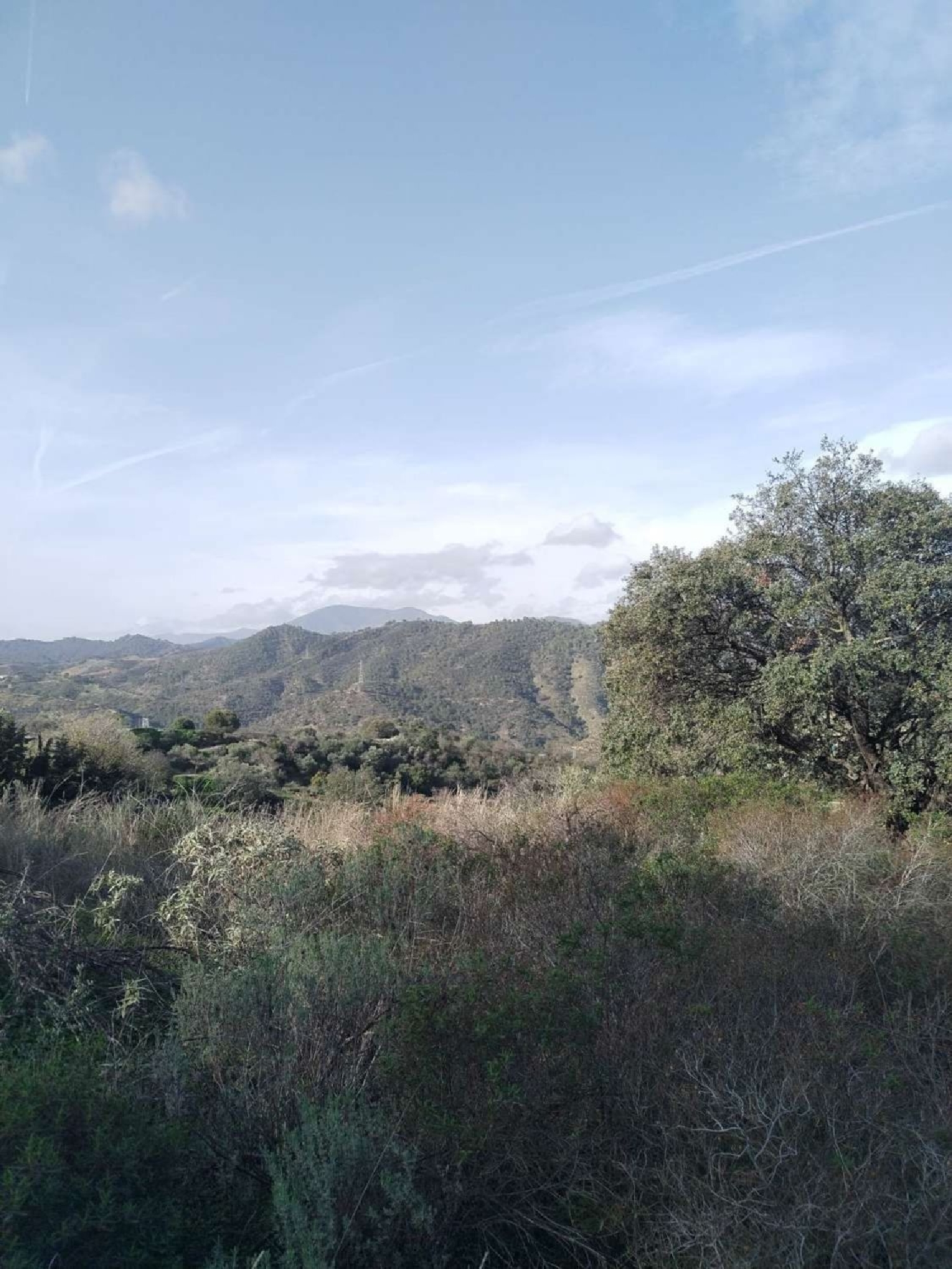  till salu hus Monda Sierra De Las Nieves 4