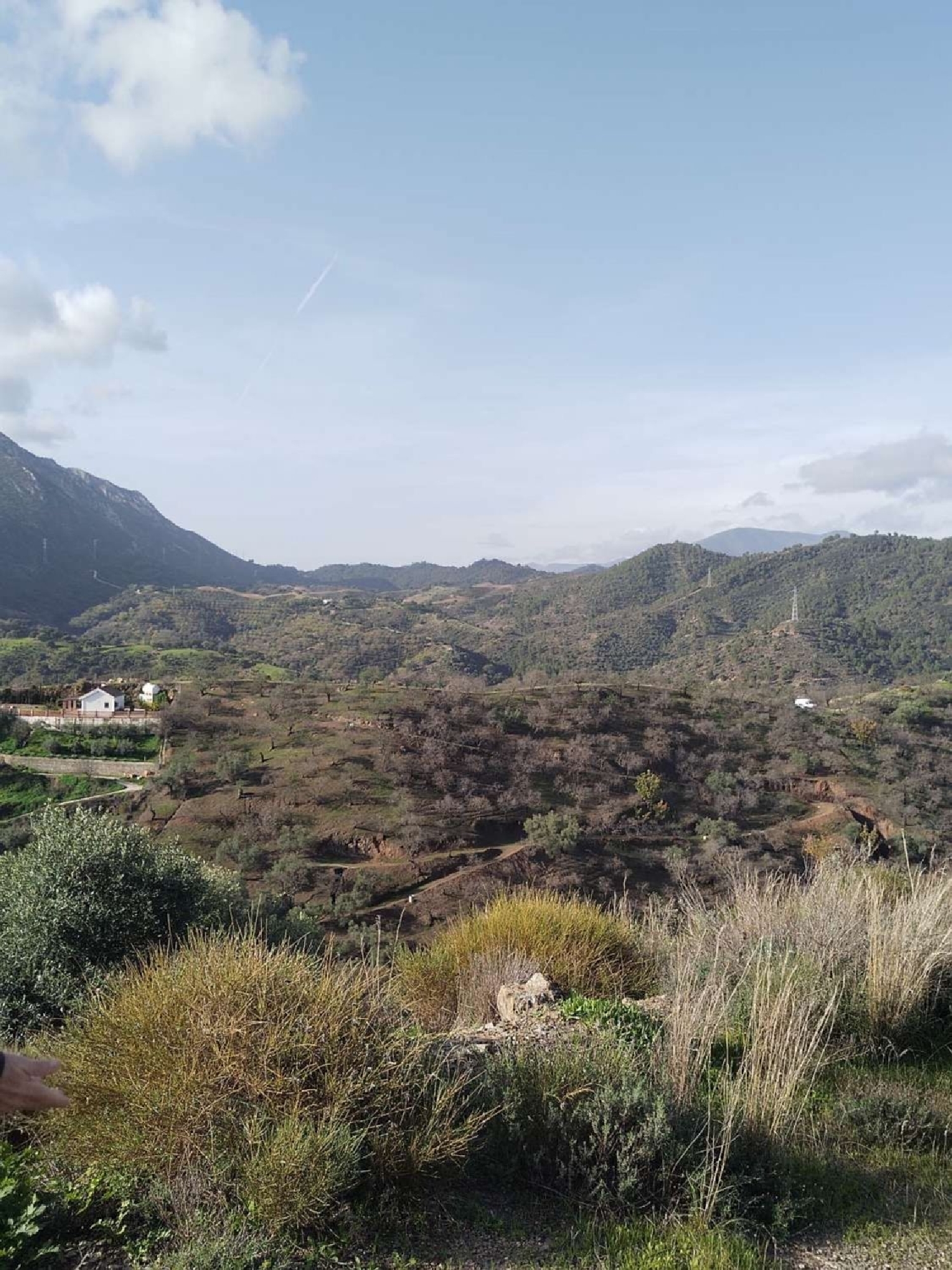 till salu hus Monda Sierra De Las Nieves 8