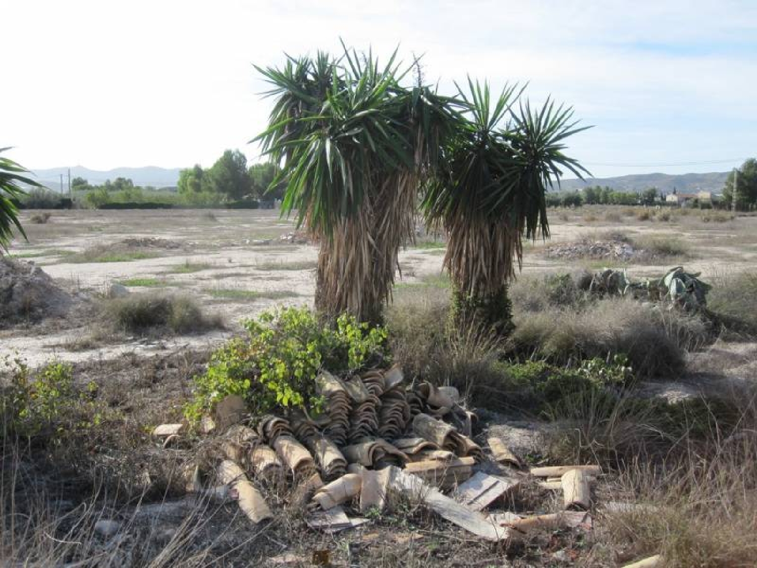  till salu hus Monforte Del Cid Vinalopó Mitjà 3