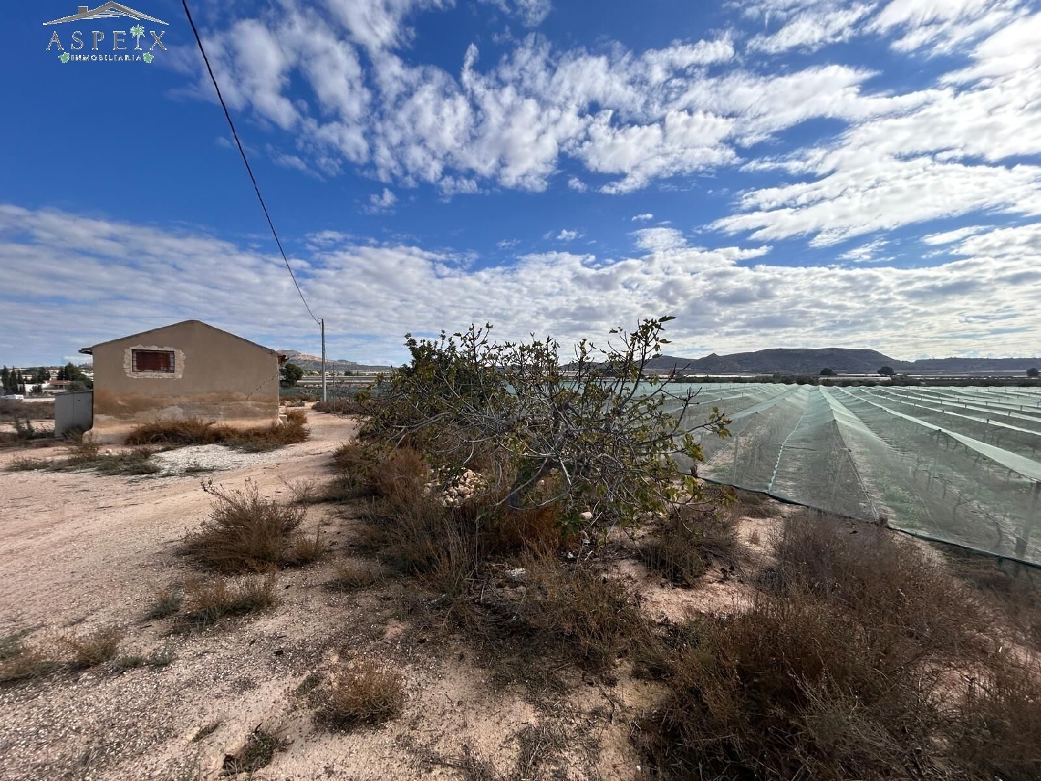  till salu hus Monforte Del Cid Vinalopó Mitjà 1