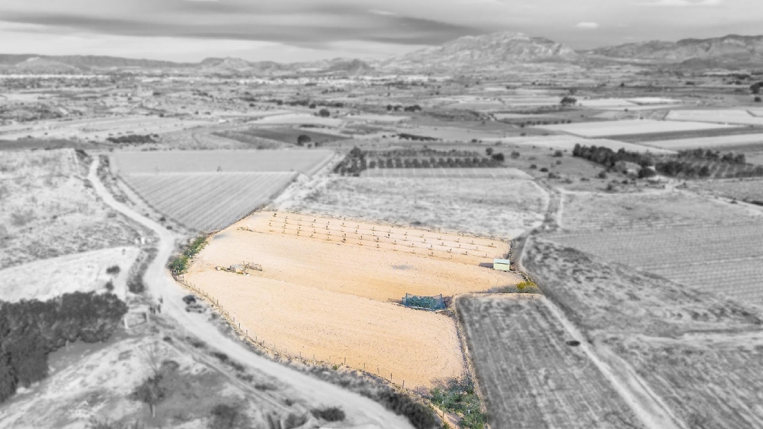 till salu hus Monforte Del Cid Vinalopó Mitjà 2