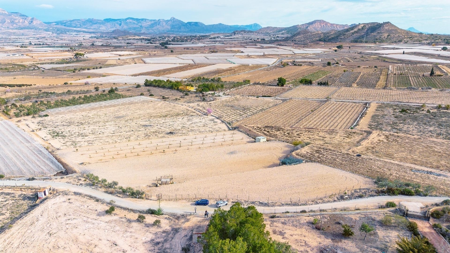  till salu hus Monforte Del Cid Vinalopó Mitjà 5