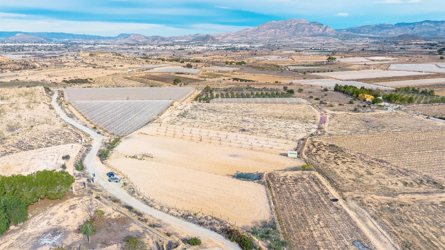  till salu hus Monforte Del Cid Vinalopó Mitjà 1