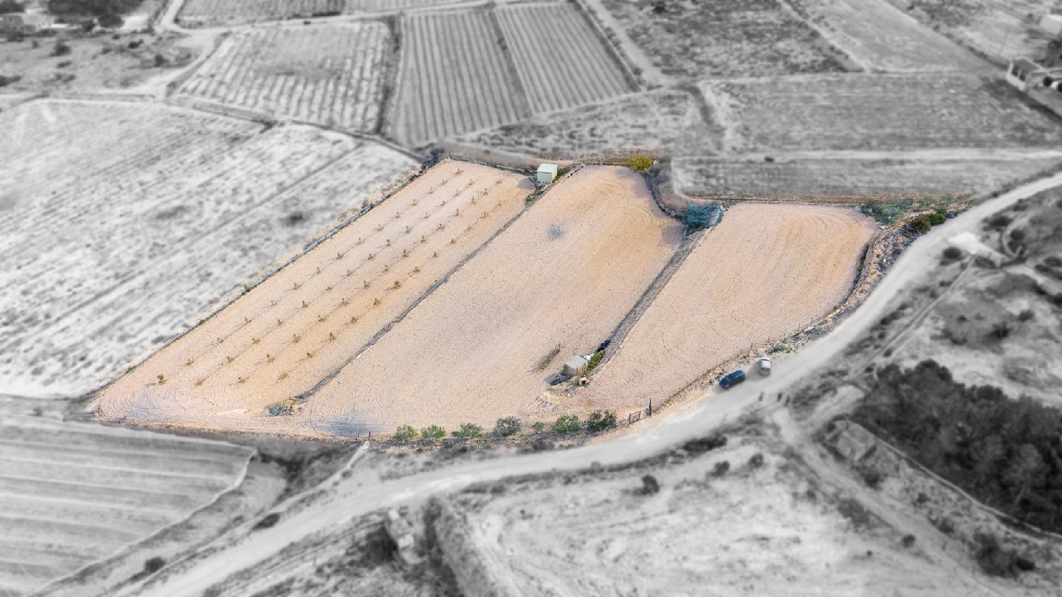  till salu hus Monforte Del Cid Vinalopó Mitjà 4
