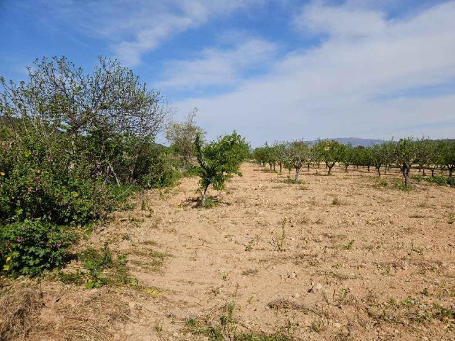 till salu hus Monóvar Vinalopó Mitjà 3