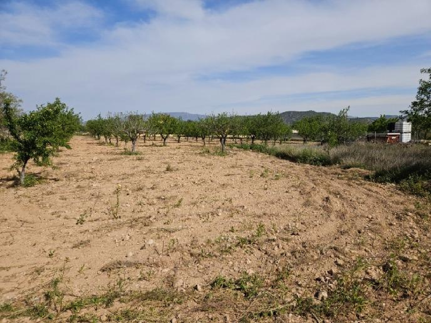  till salu hus Monóvar Vinalopó Mitjà 1