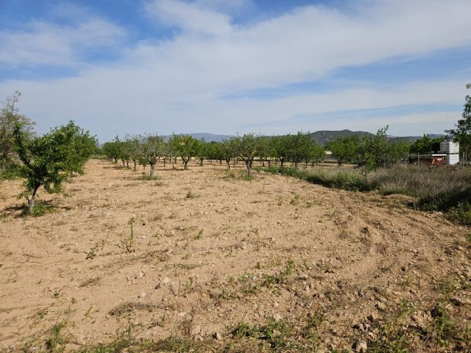  till salu hus Monóvar Vinalopó Mitjà 4