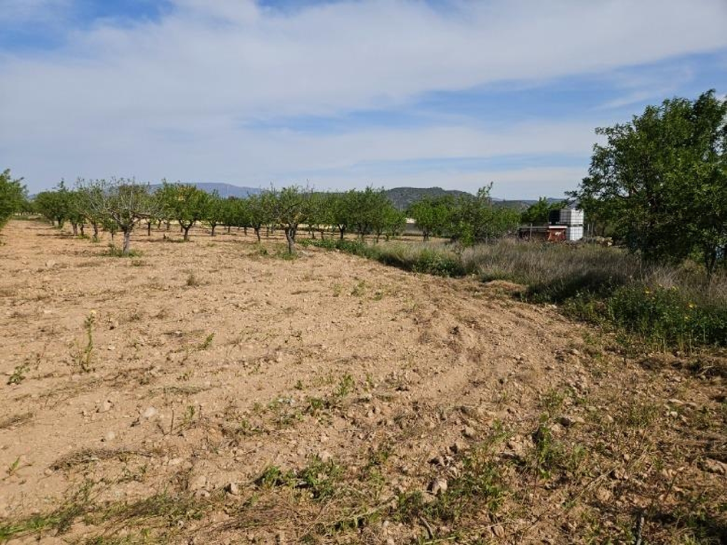 till salu hus Monóvar Vinalopó Mitjà 2