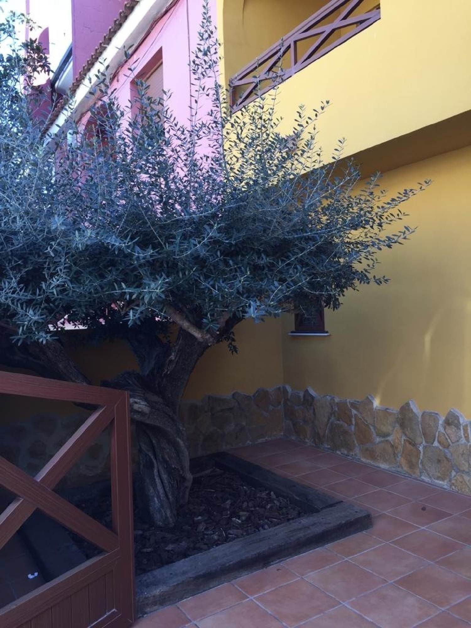  till salu hus Monte Júcar Ribera Alta 5