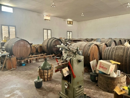 Els Montesinos Vinalopó Mitjà hus foto 6226833