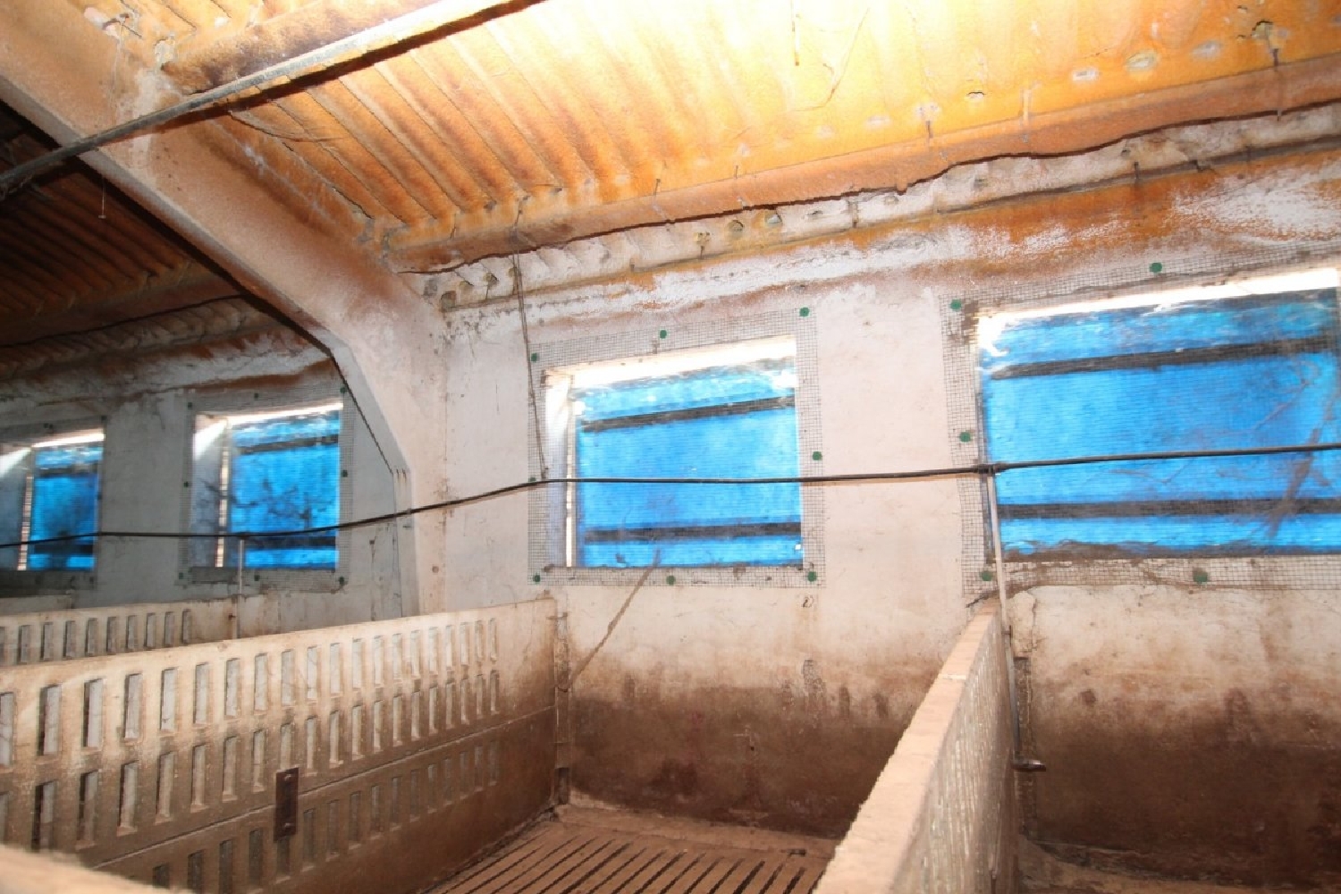  till salu hus Novillas Campo De Borja 5