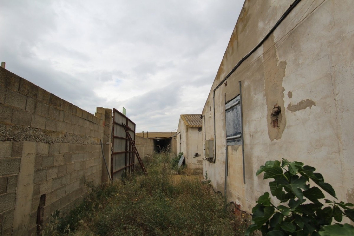 till salu hus Novillas Campo De Borja 2