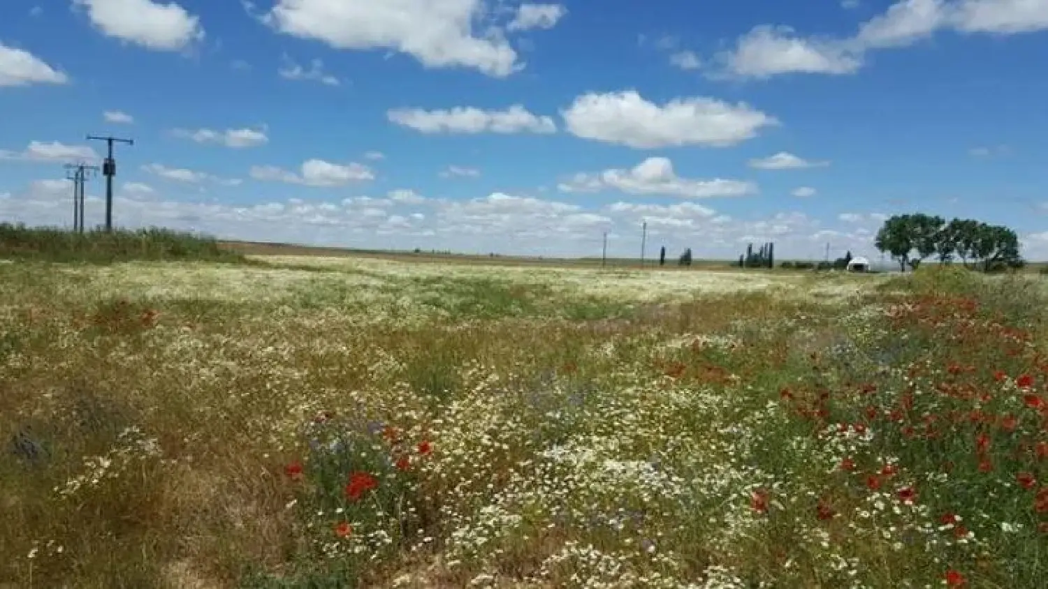  till salu hus Carrascalino Campo De Salamanca 3