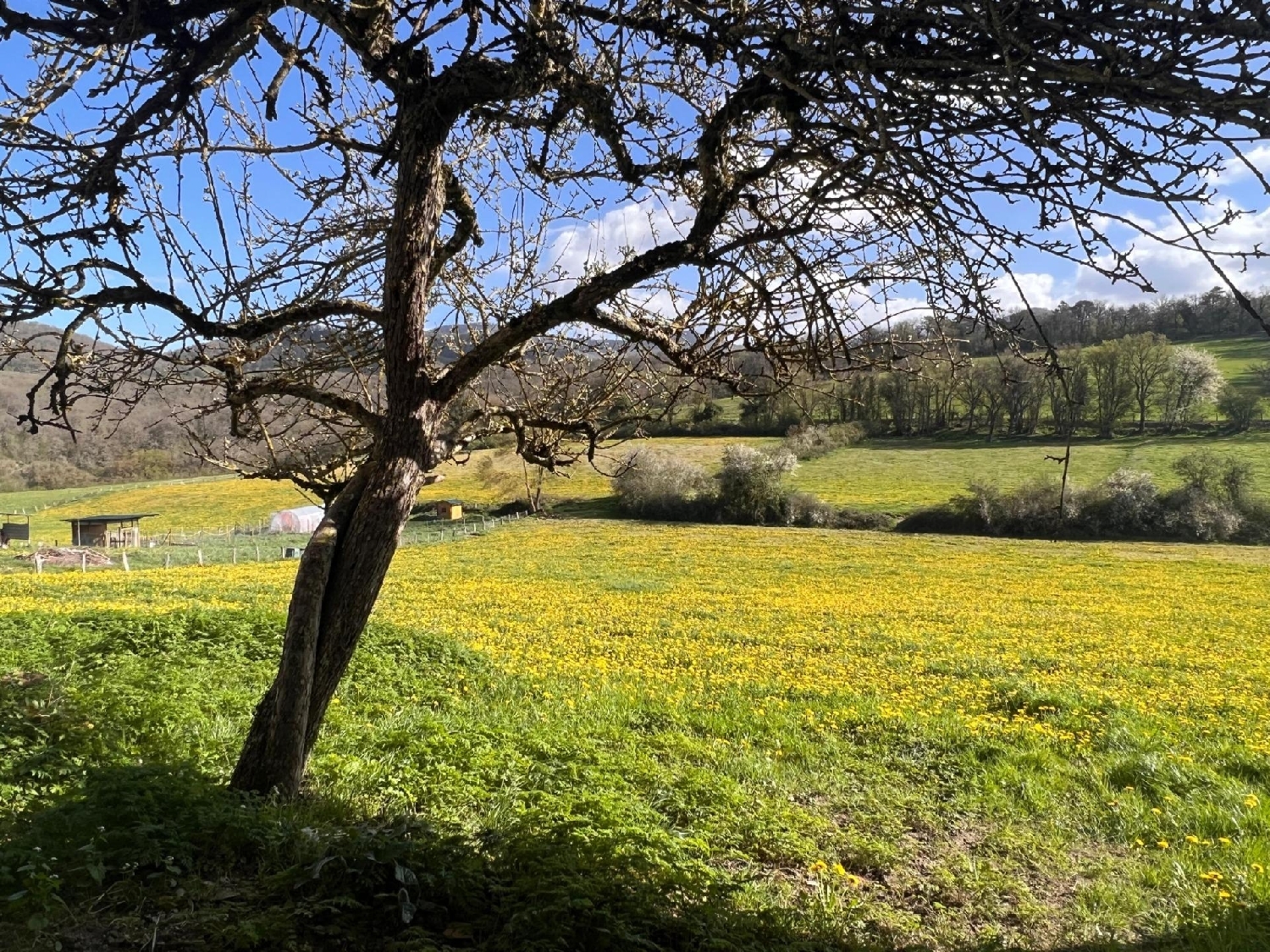  à vendre maison Leazkue Noroeste 5