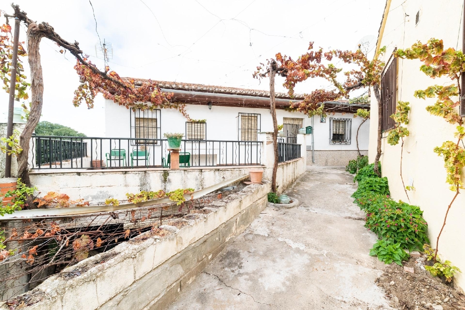  till salu hus Olivares Loja 5