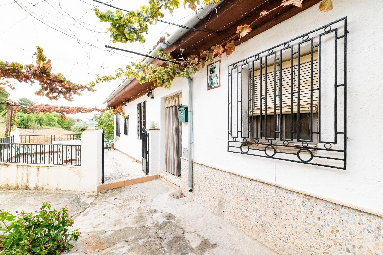 till salu hus Olivares Loja 2