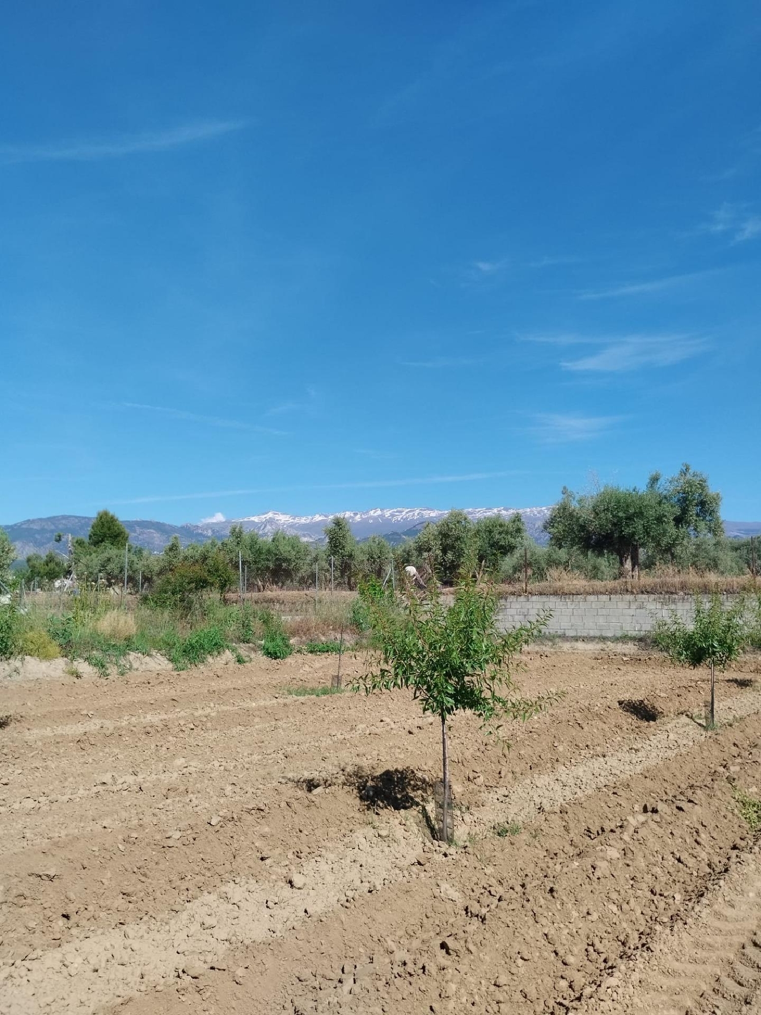  till salu hus Otura Vega De Granada 5