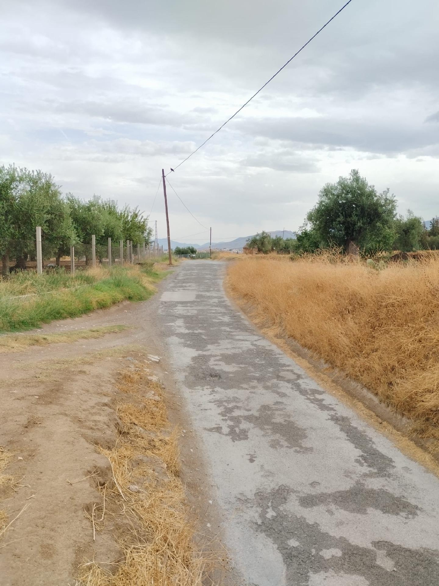  till salu hus Otura Vega De Granada 4