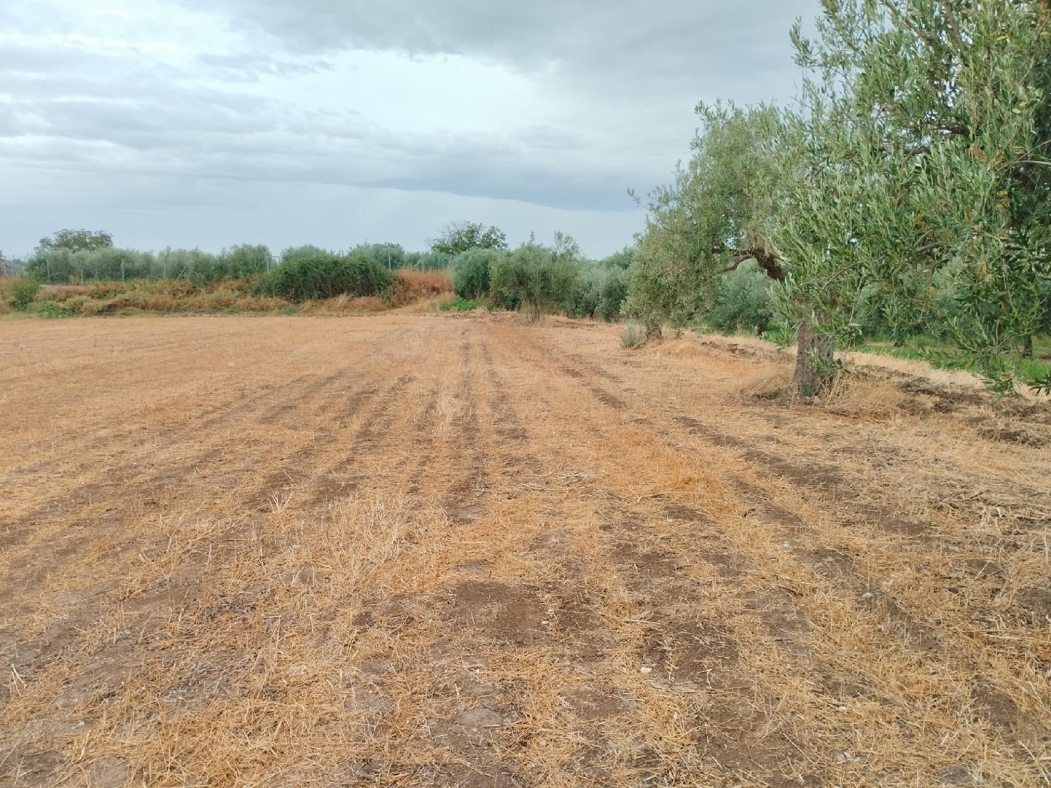till salu hus Otura Vega De Granada 2