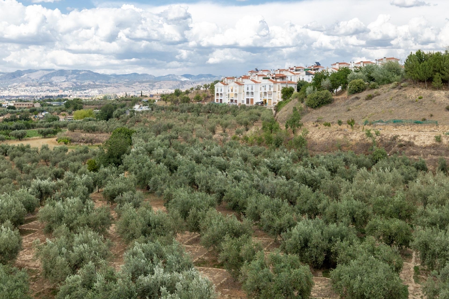 till salu hus Otura Vega De Granada 2