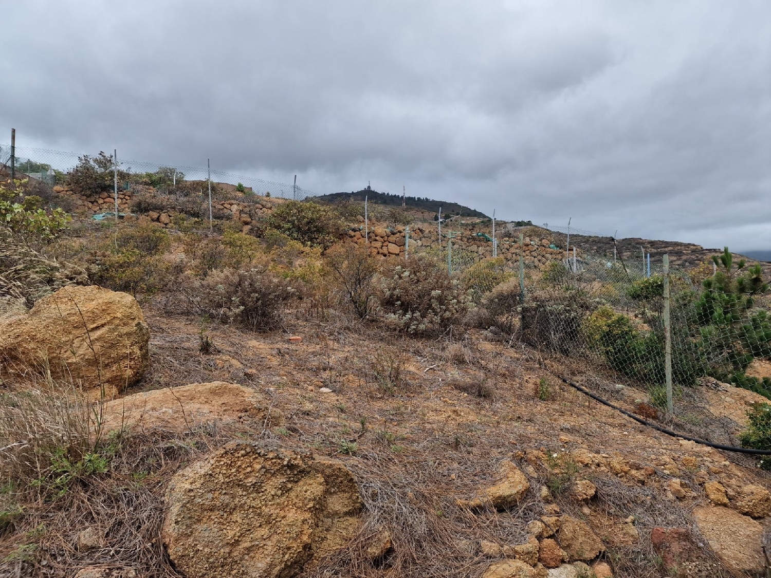  till salu hus Pajara Zona Sureste 4