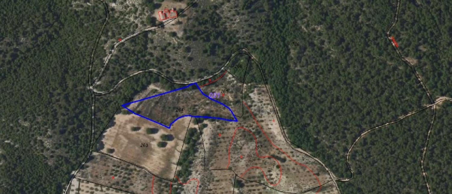till salu hus Patruena Valle De Ricote 2