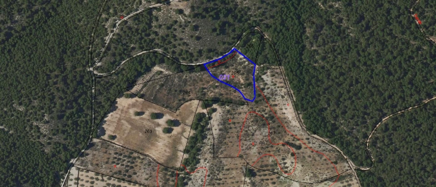 till salu hus Patruena Valle De Ricote 3