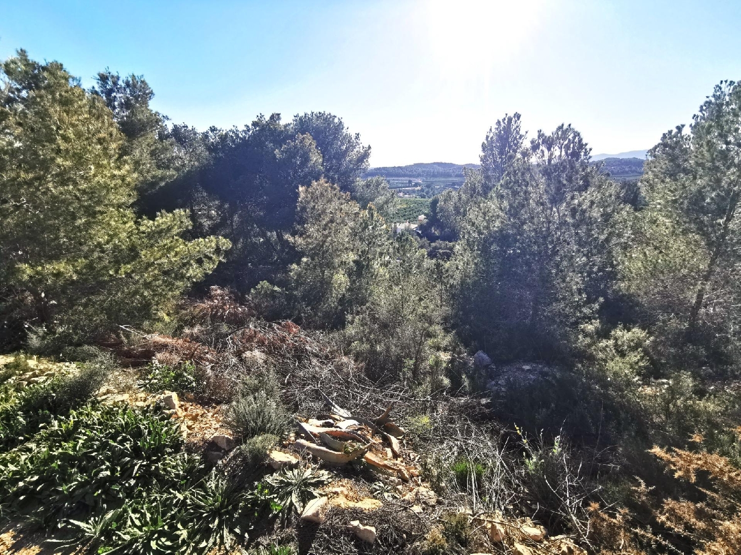  till salu hus Pedralba Serranos (Los) 8