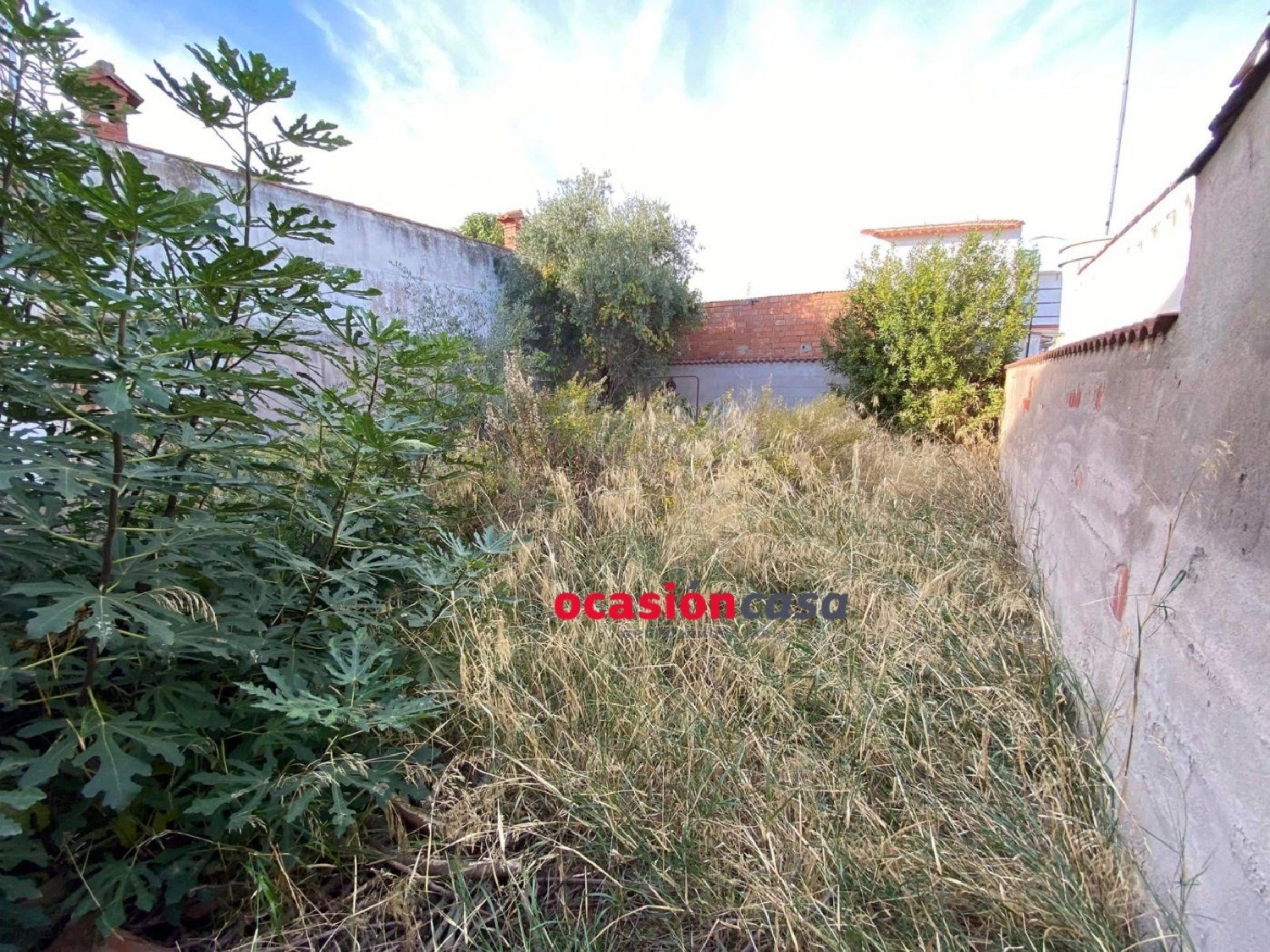  till salu hus Peñarroya-Pueblonuevo Valle Del Guadiato 4