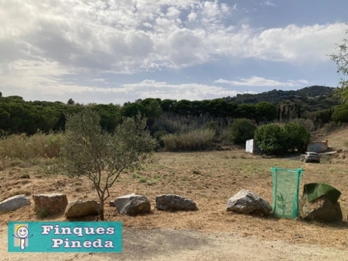 Pineda De Mar Maresme hus foto 6245096