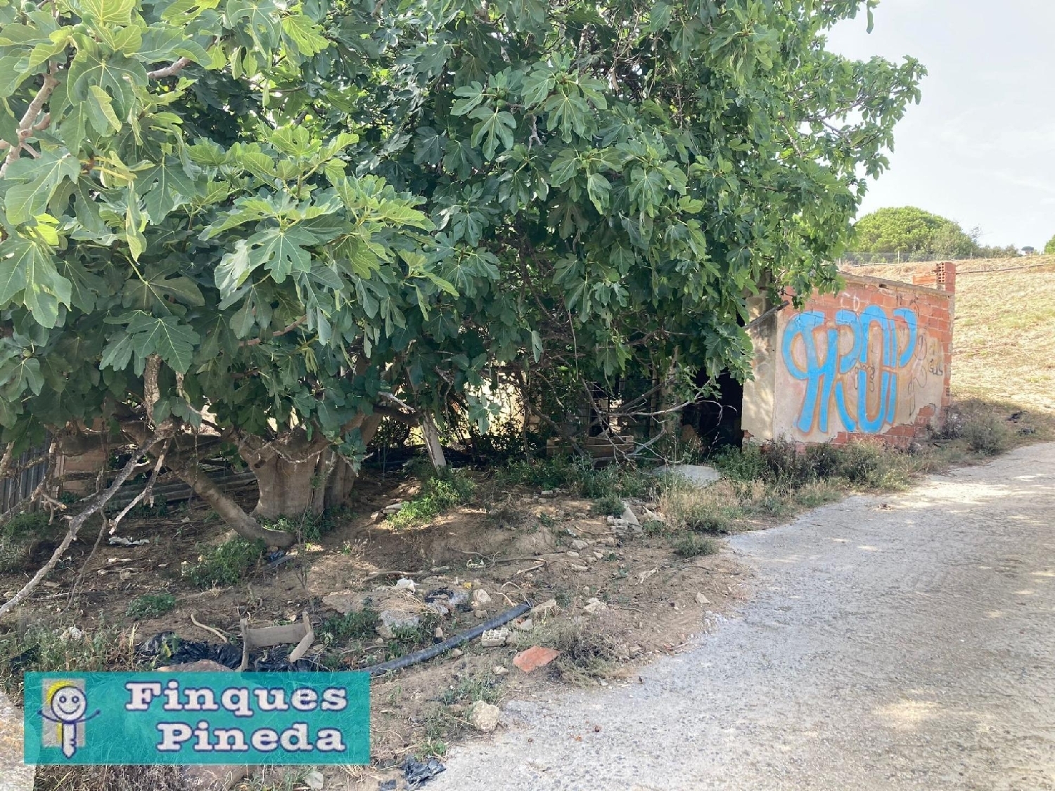  till salu hus Pineda De Mar Maresme 5
