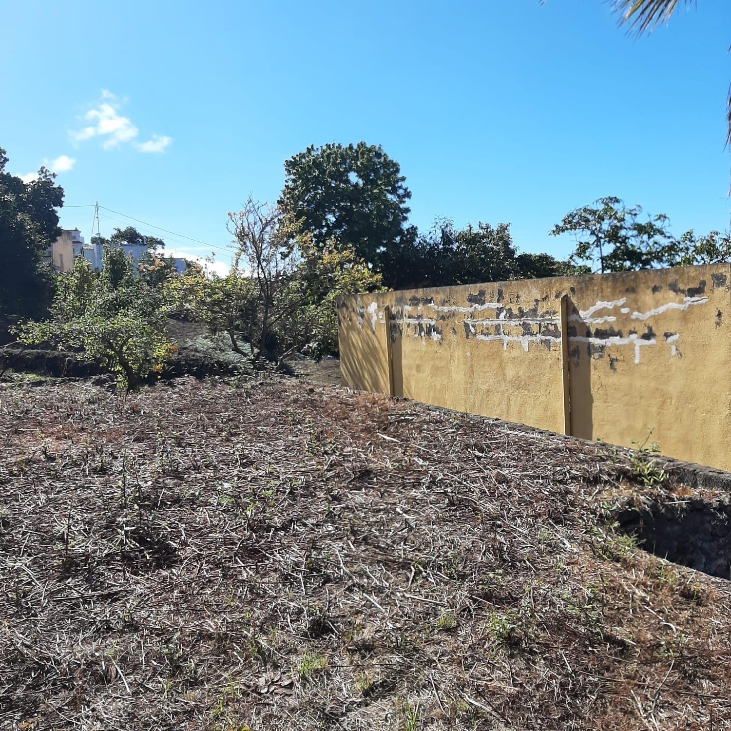 till salu hus Pinoleris Zona Norte 3