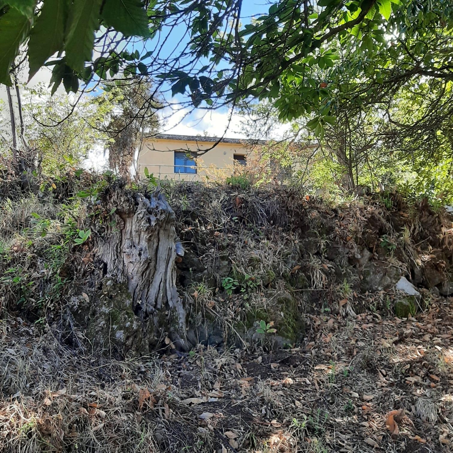 till salu hus Pinoleris Zona Norte 2