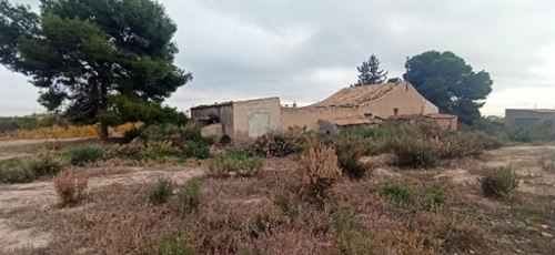 Pla De Sant Josep Baix Vinalopó hus foto 6262945