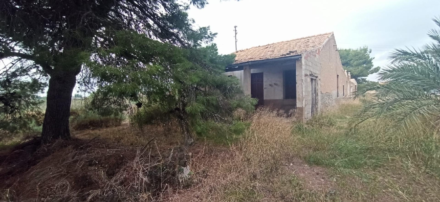  till salu hus Pla De Sant Josep Baix Vinalopó 7