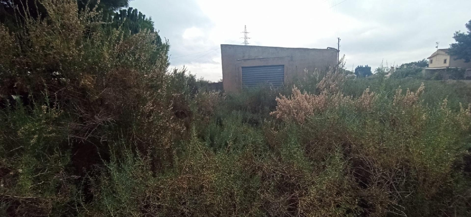  till salu hus Pla De Sant Josep Baix Vinalopó 4