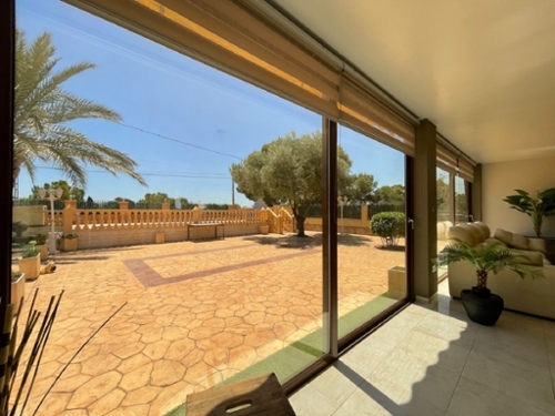 Pla Olivera Alacantí hus foto 6243399