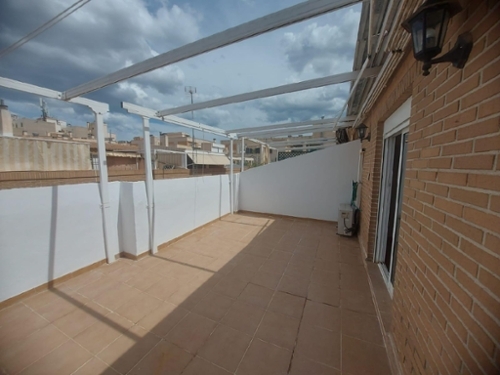 Pla Olivera Alacantí hus foto 6227790