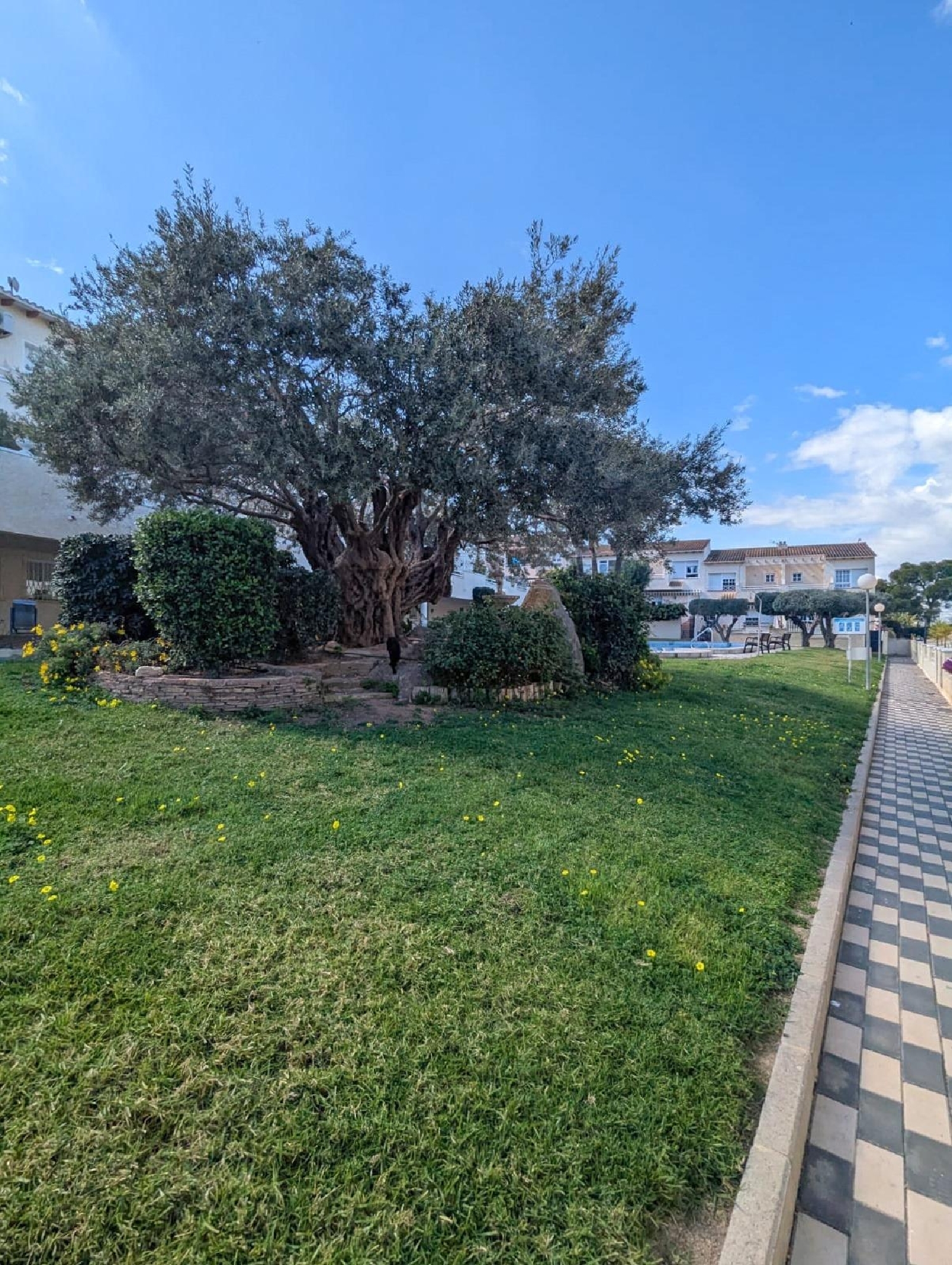  till salu hus Pla Parcial Platja Marina Baixa 5