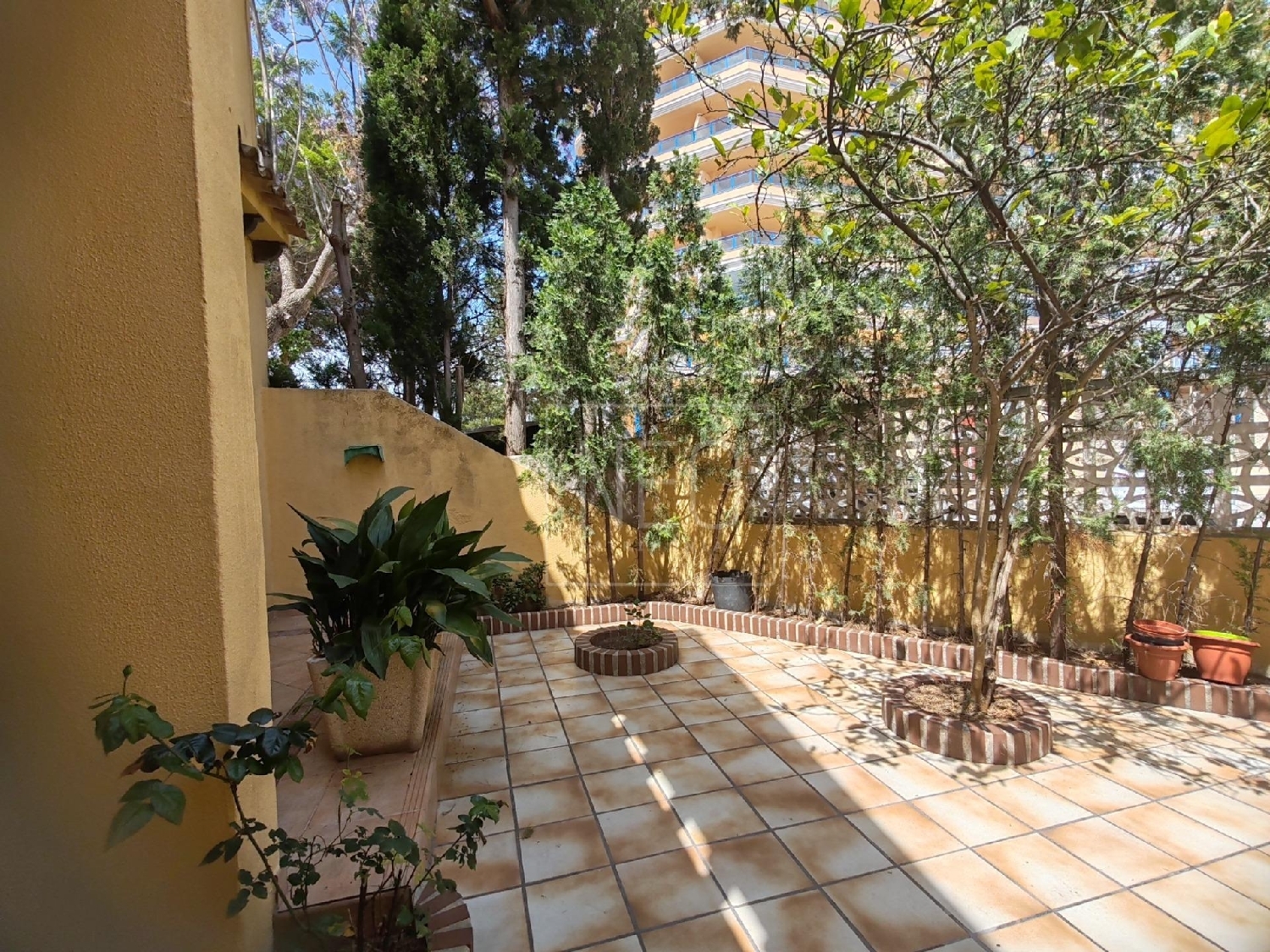  till salu hus Platja De Tavernes De La Valldigna Safor 8