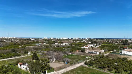 Platja D''oliva Safor hus foto 6177526