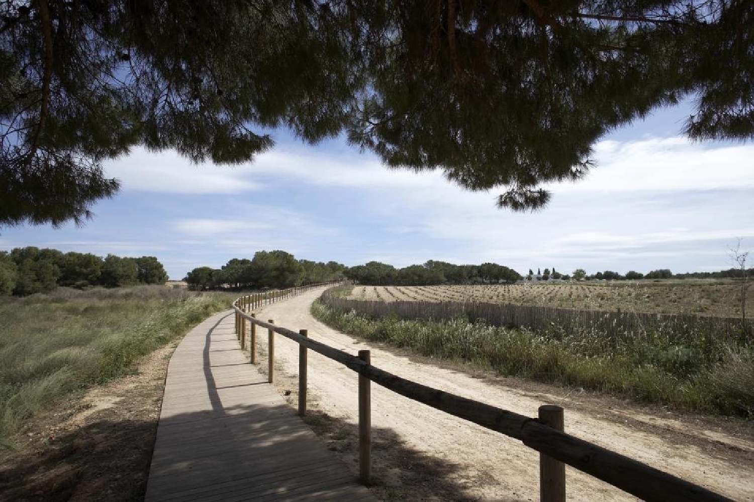  till salu hus Playa De Los Locos-Aguas Nuevas-Torreblanca Baix Segura 6