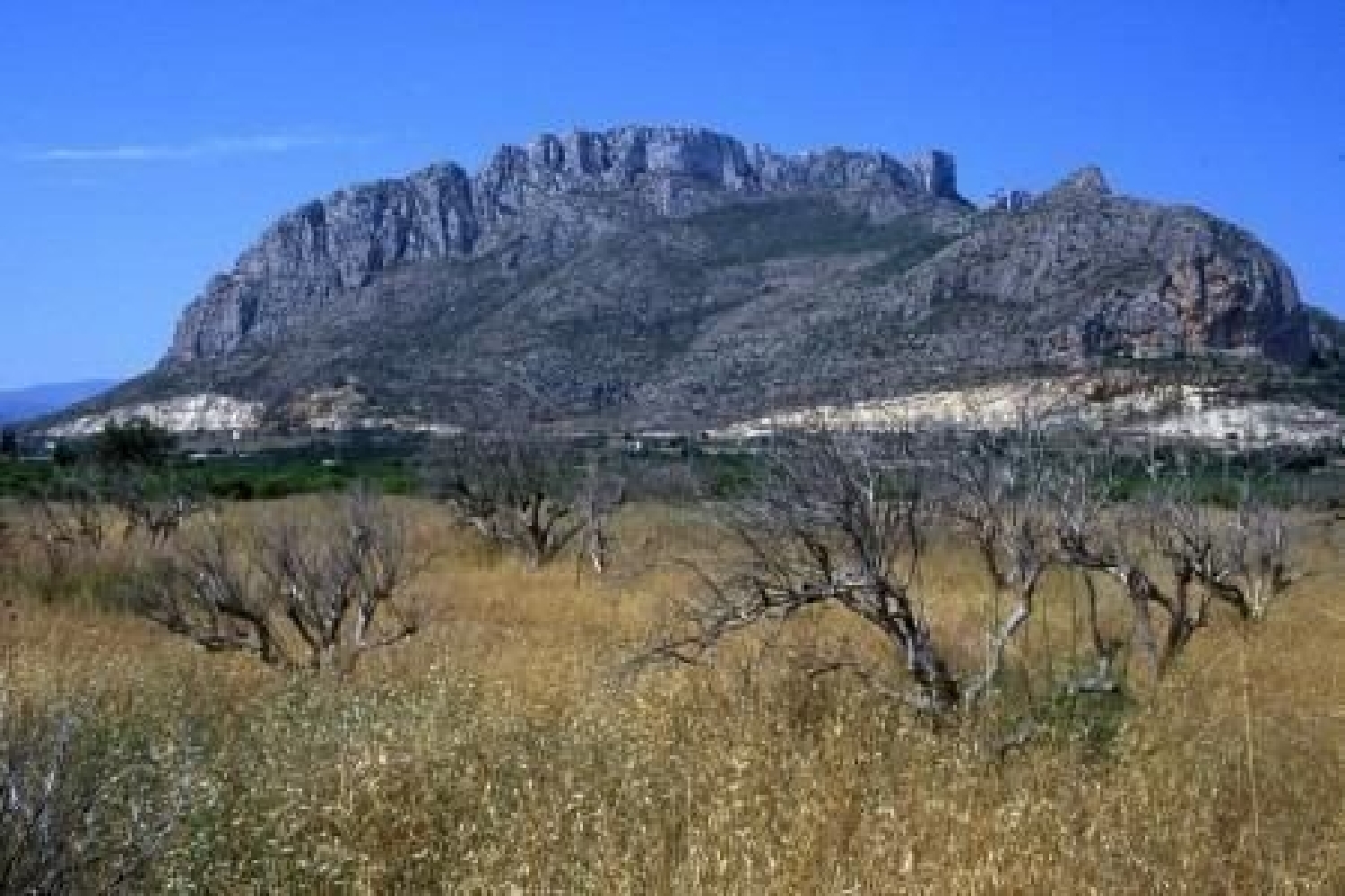  till salu hus La Solana Vinalopó Mitjà 20