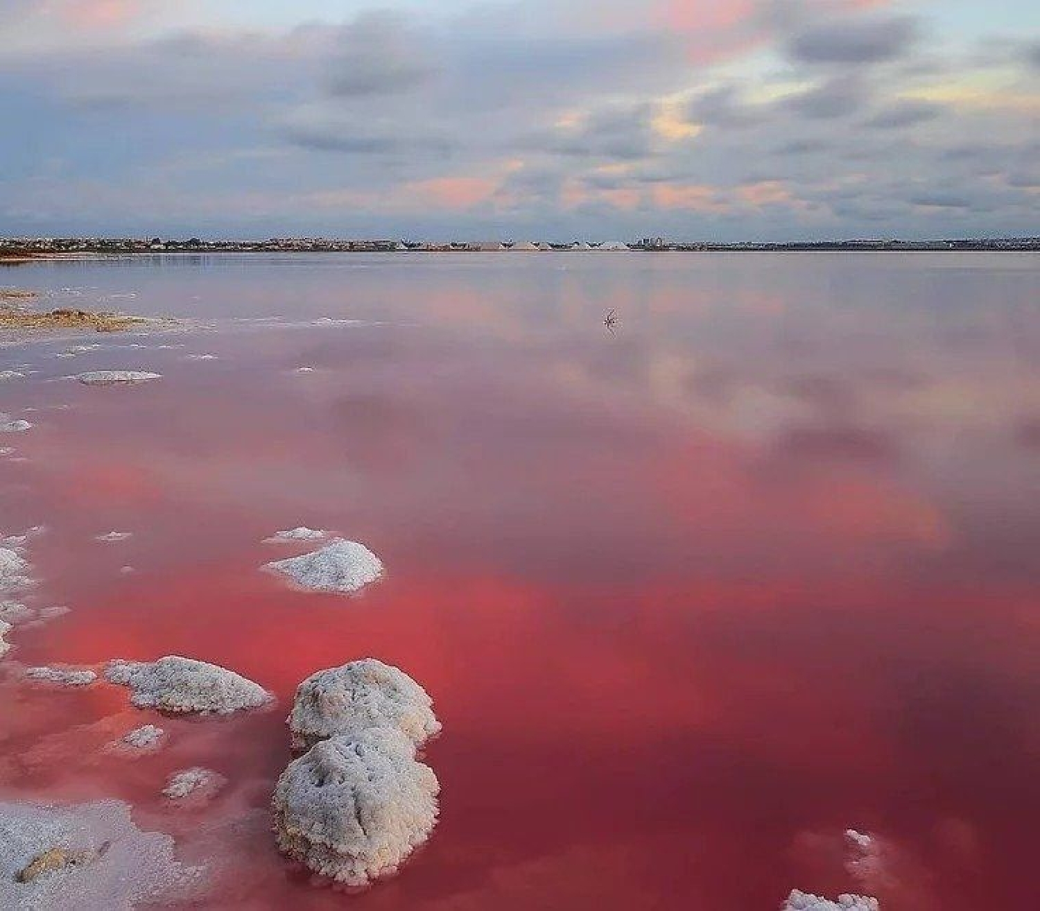  till salu hus Jubalcoi Baix Vinalopó 21