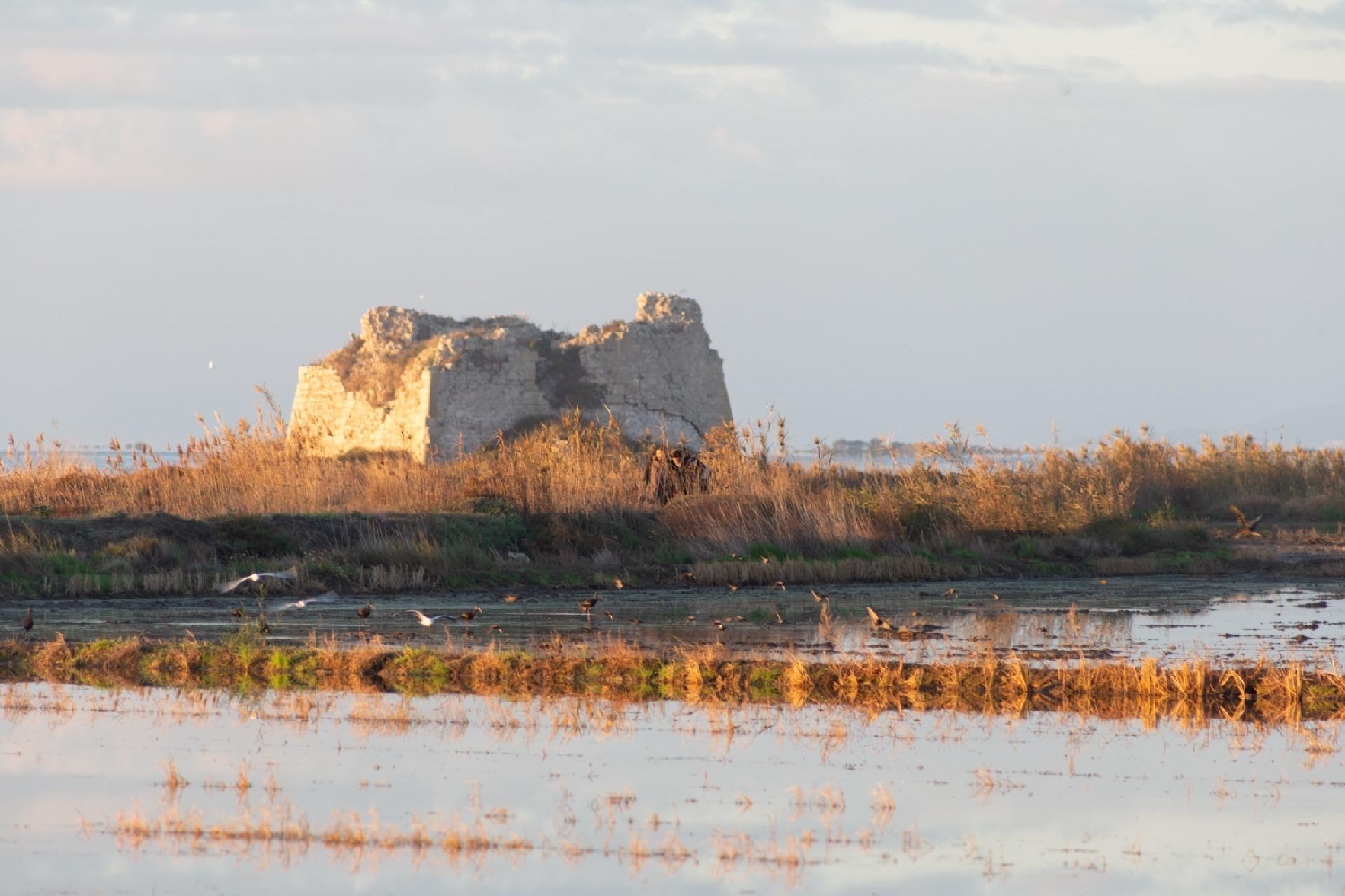  till salu hus Poblenou Del Delta Montsià 6