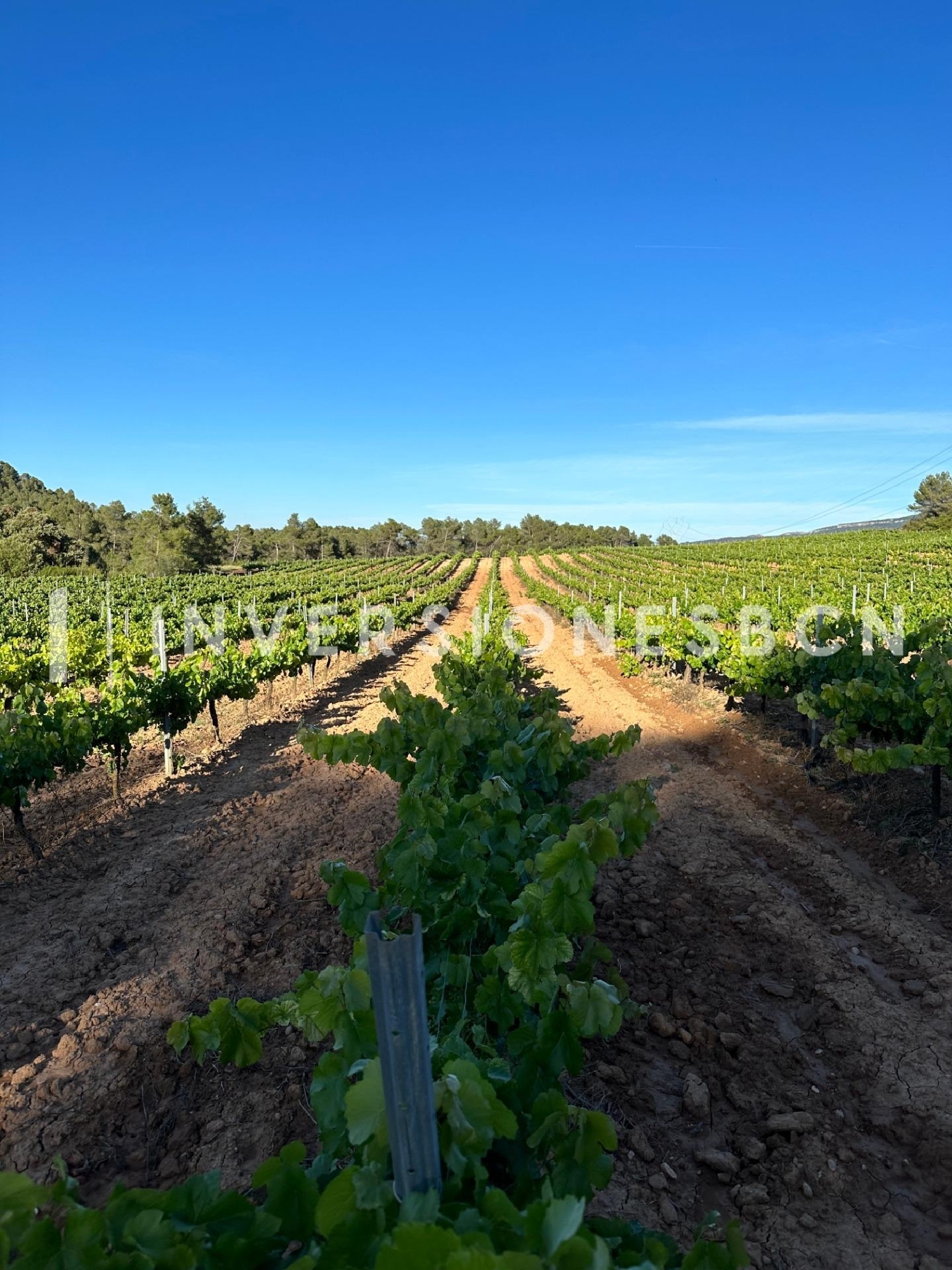 till salu hus Poblet Conca De Barberà 2