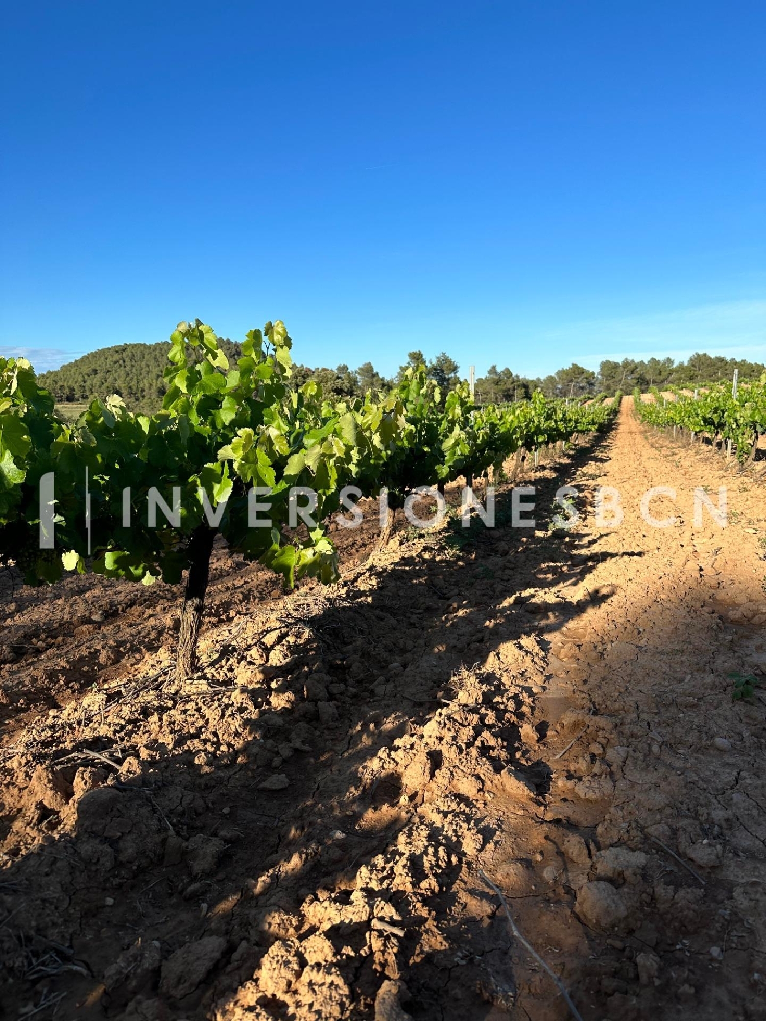  till salu hus Poblet Conca De Barberà 8