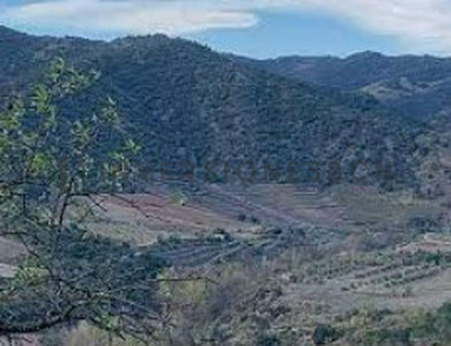  till salu hus Poboleda Priorat 7