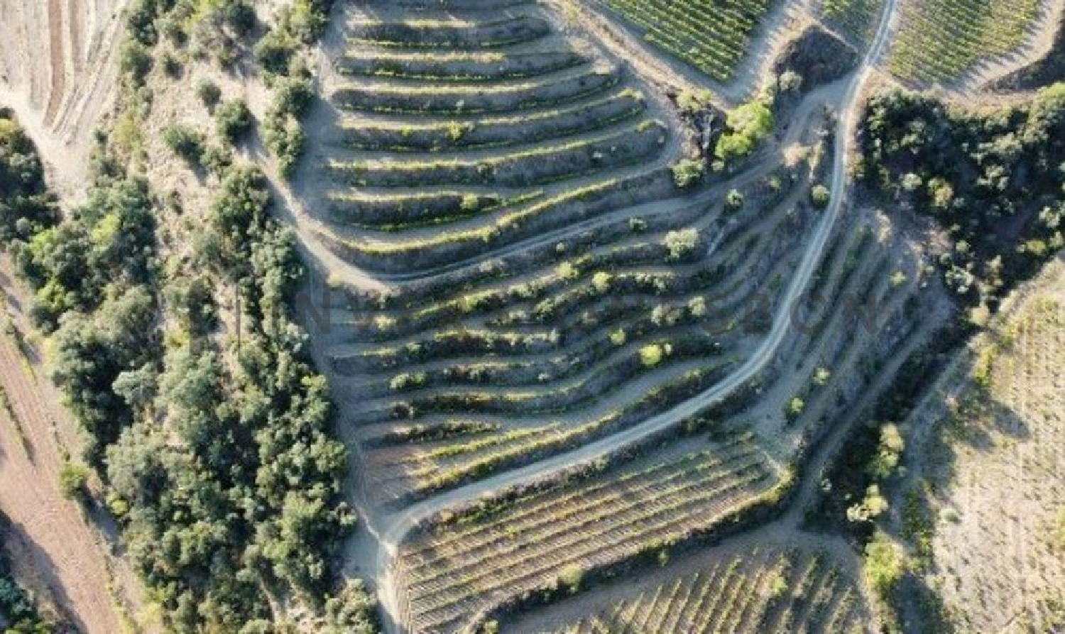 till salu hus Poboleda Priorat 6