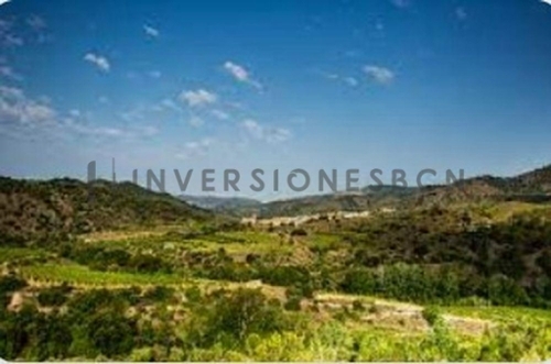 Poboleda Priorat hus foto 6255129
